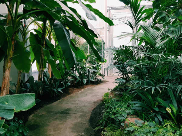 Ilustrasi Sertifikasi Greenship