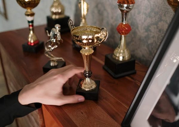 Penghargaan Efisiensi Energi Nasional