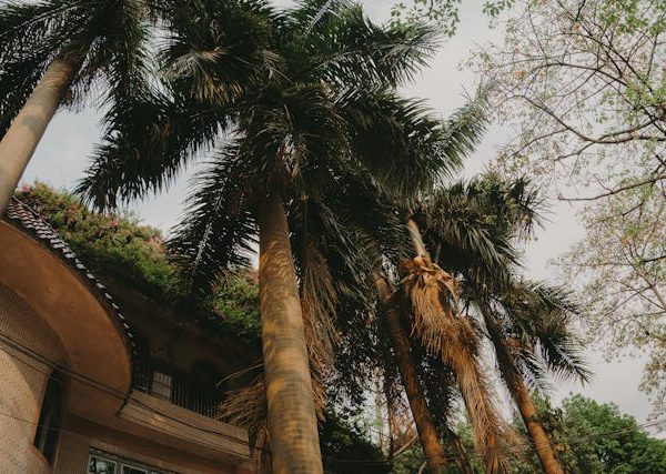 Green Building di Indonesia